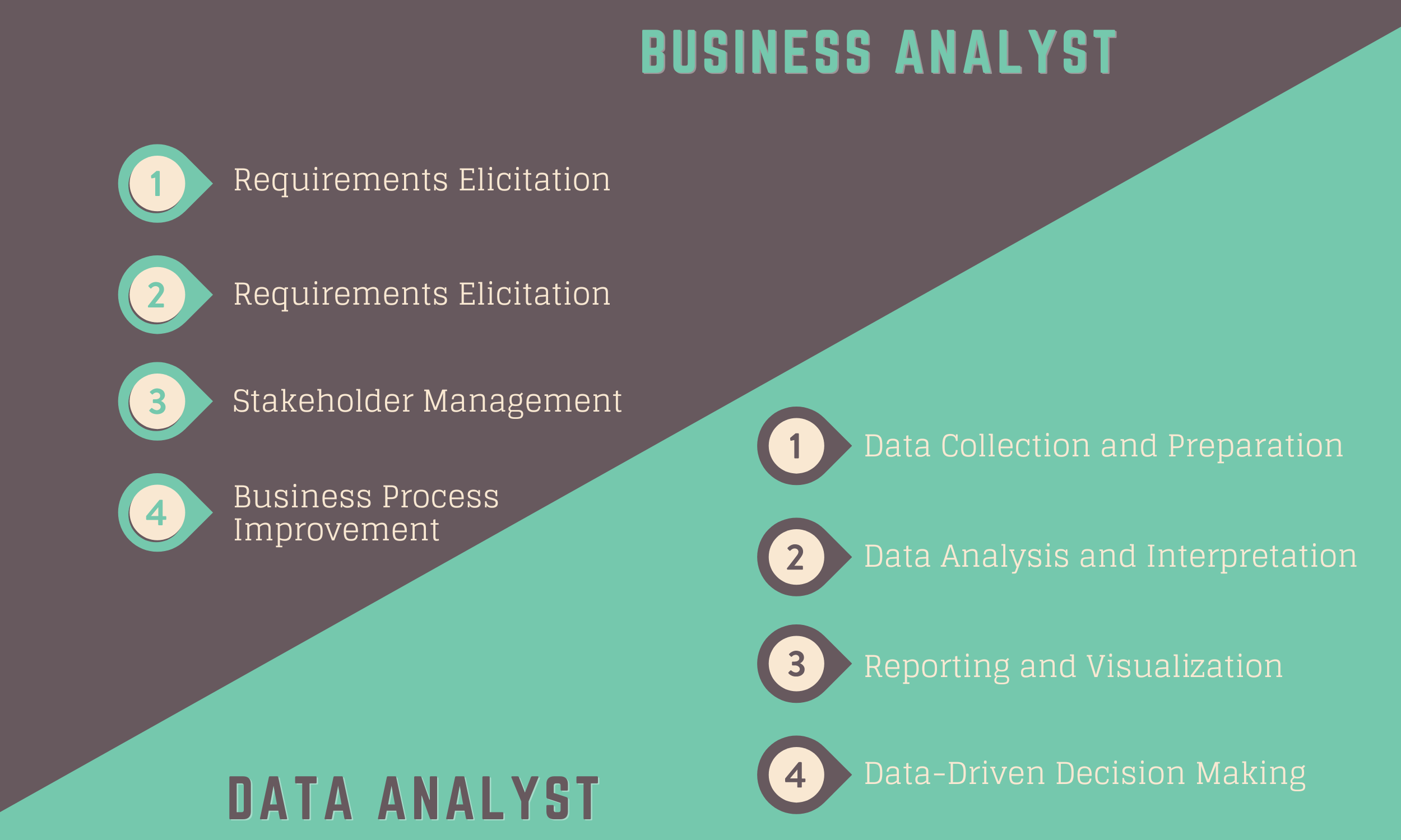 Roles And Responsibilities of Data Analyst vs Business Analyst - Thinkcloudly