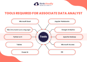 Associate Data Analyst