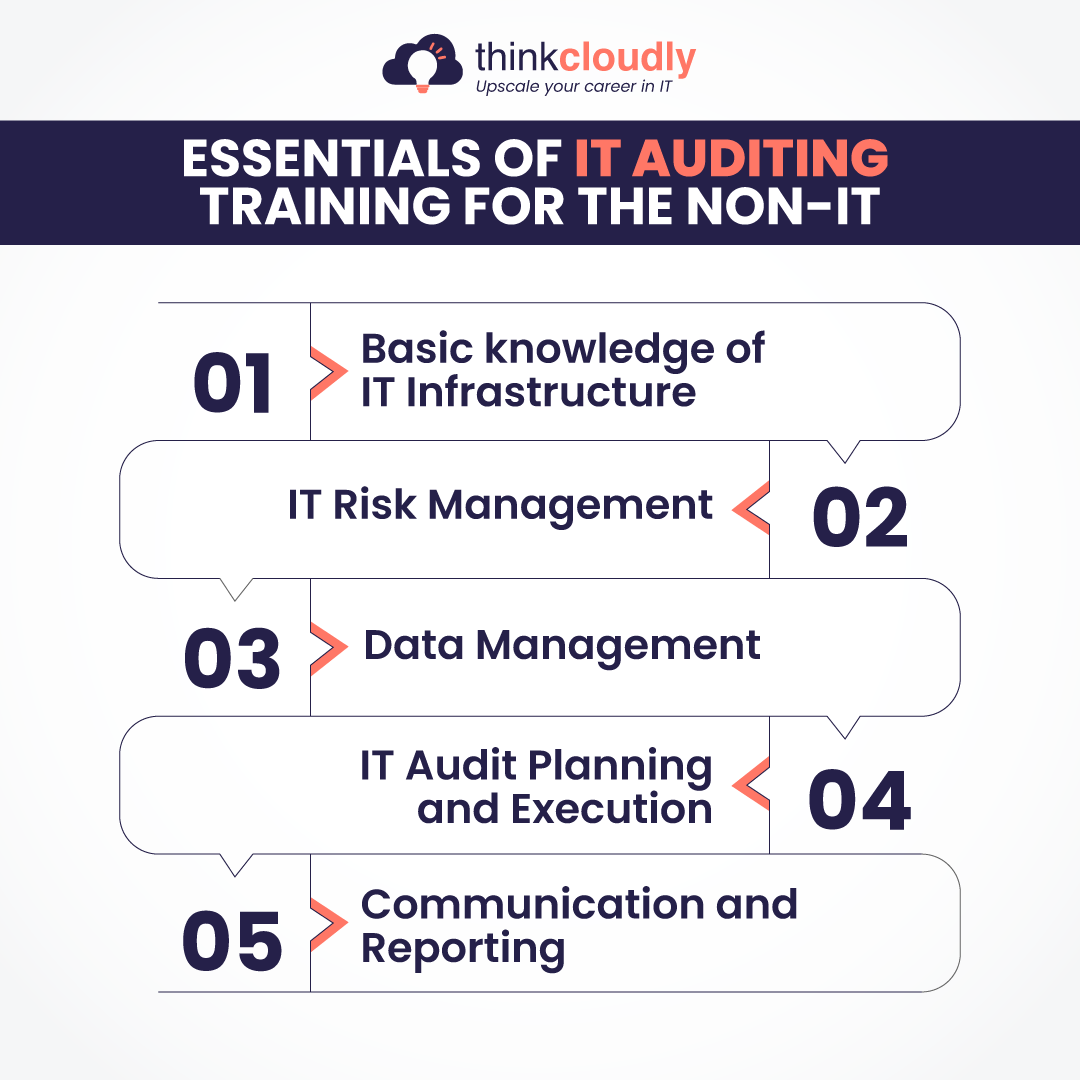IT Auditing Training