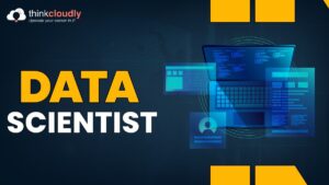 data scientist