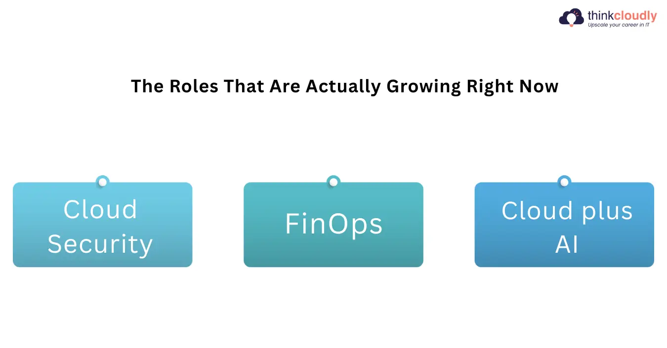 The Roles That Are Actually Growing Right Now The Roles That Are Actually Growing Right Now