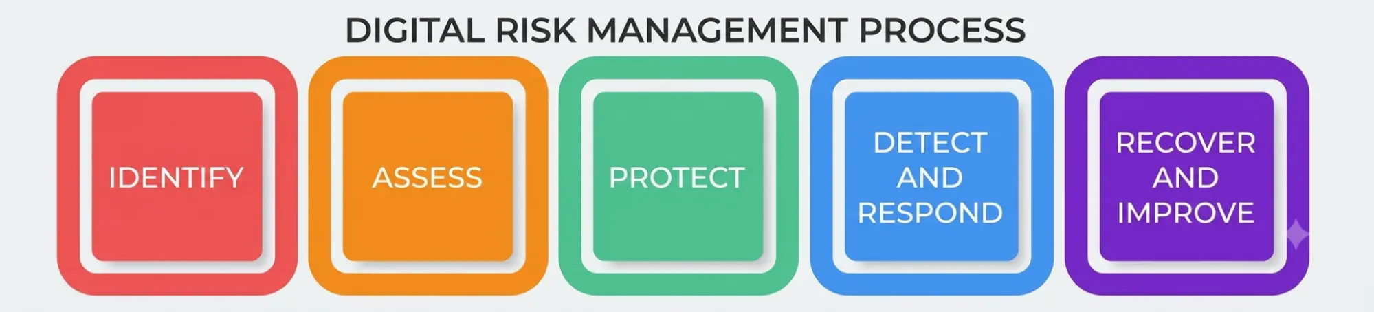 Digital Risk Management Process Digital Risk Management Process