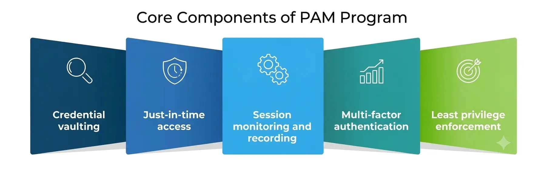 Core Components of a Strong PAM Program Core Components of a Strong PAM Program